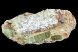 Lustrous, Yellow Apatite Crystals in Feldspar - Morocco #84327-1
